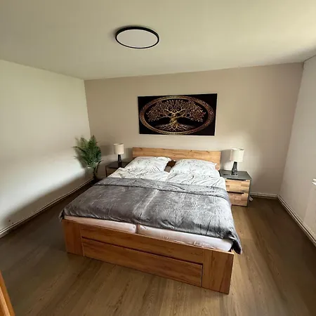 Haus Marchfeld 아파트 *