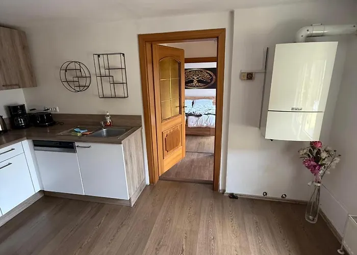 公寓 Haus Marchfeld *